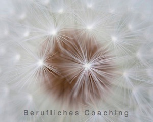 Zum beruflichen Coaching